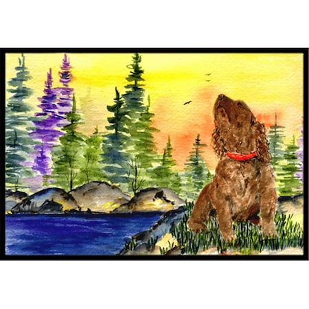 Carolines Treasures 18 x 27 in. American Water Spaniel Indoor Outdoor Doormat SS8509MAT
